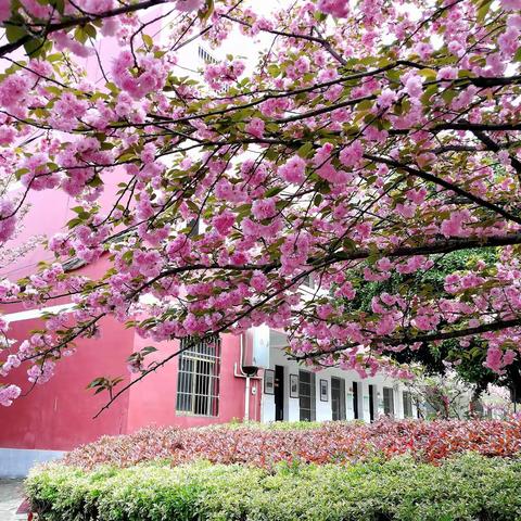 对标创建依标整改 依法办学科学治理——江夏区第一初迎接武汉市《义务教育学校管理标准》达标建设考核评估