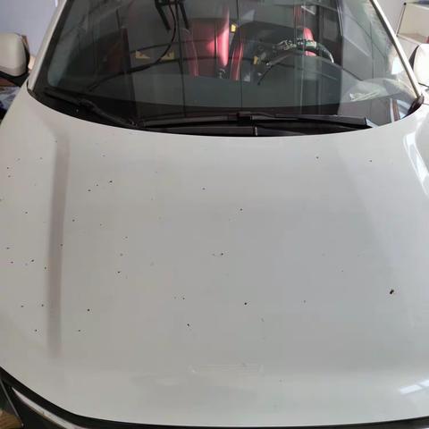 汽车美容课程:学习冲洗汽车车顶基础（一）