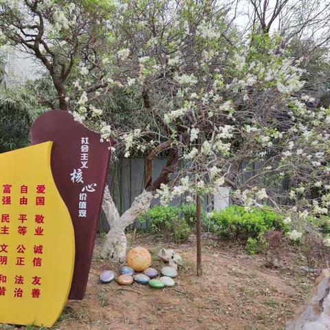 3月27日校园生活