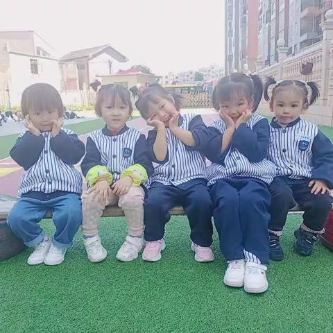 多彩的幼儿园生活