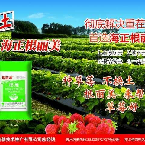 要想草莓高产又稳产，与创想携手并进