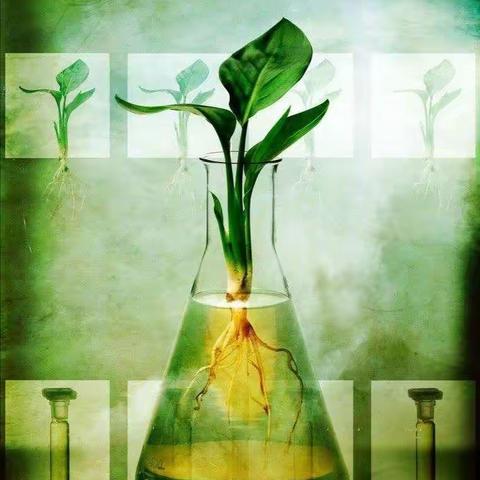 隰县职业中学【园艺技术专业】招生简章