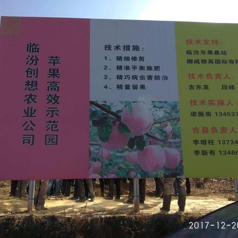 果树冬剪要点─临汾创想农业高新技术推广有限公司