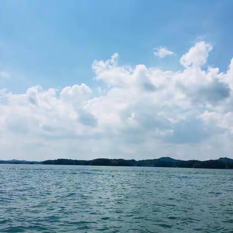 山一程，水一程——西安行之信阳篇