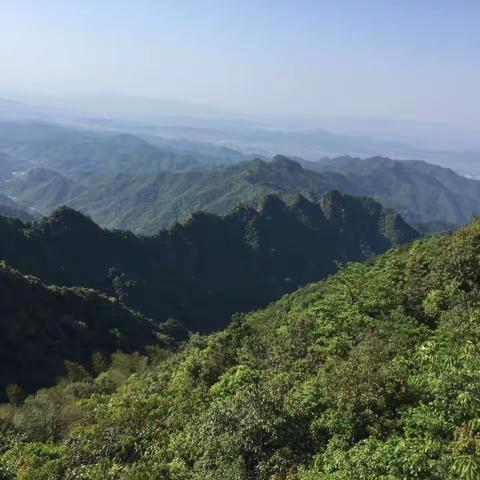 驴友