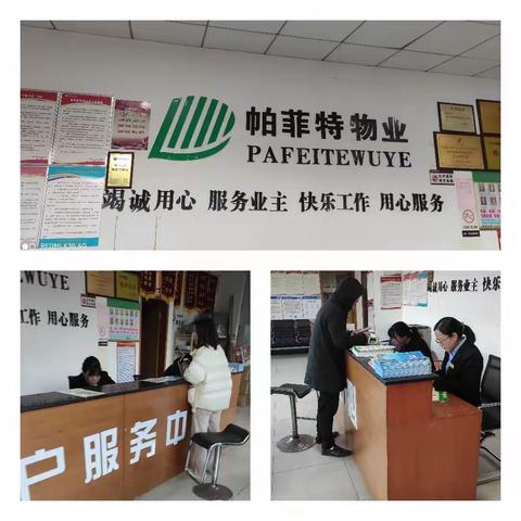 海拔东方服务中心11月份工作记录