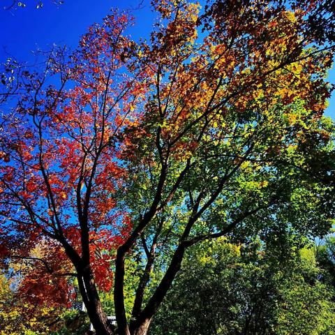 海拔东方服务中心10月份美篇
