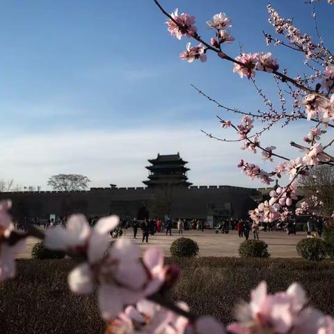 平遥县老年书画研究会﻿《百联百福贺百年》春联展（二）