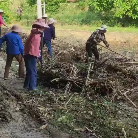 人居环境人人护，护好环境为人人——安河寺村人居环境整治在行动