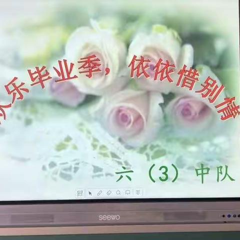 欢乐毕业季 依依惜别情——光丰小学六（3）中队举行毕业主题班会