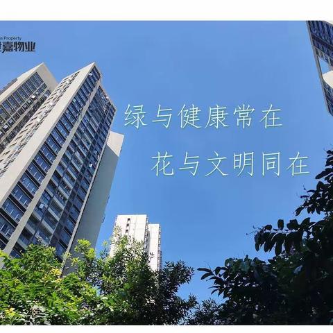 盛世嘉物业温馨提示:家中有老人爱捡废品的一定要看一看!