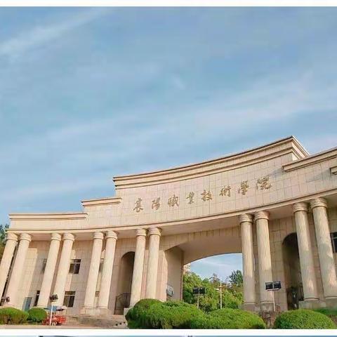 掌握新理念 学习新课标—《义务教育数学课程标准（2022版）》系列解读与培训活动