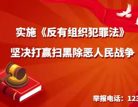 一图看懂《中华人民共和国反有组织犯罪法》