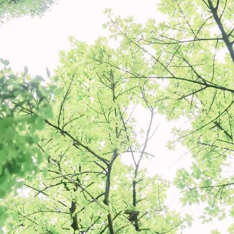 【洪海慧小学英语骨干教师工作坊】博观而约取，厚积而薄发—— 2019年海口市小学市级骨干教师研修班首日小记