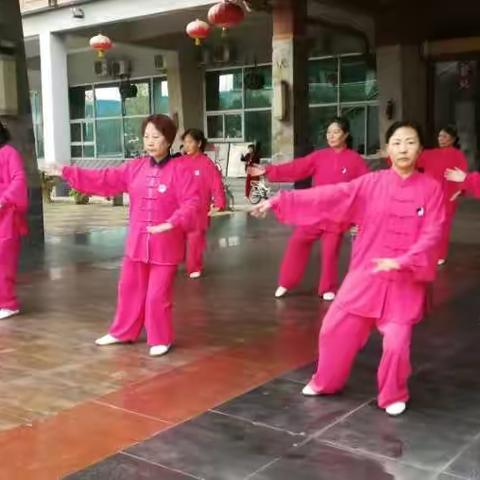 秦风细雨的美篇