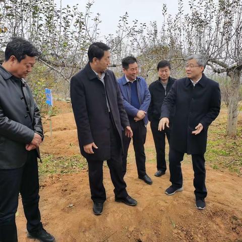 省农业农村厅一级巡视员高武斌到宝塔区调研“三农”工作重点任务