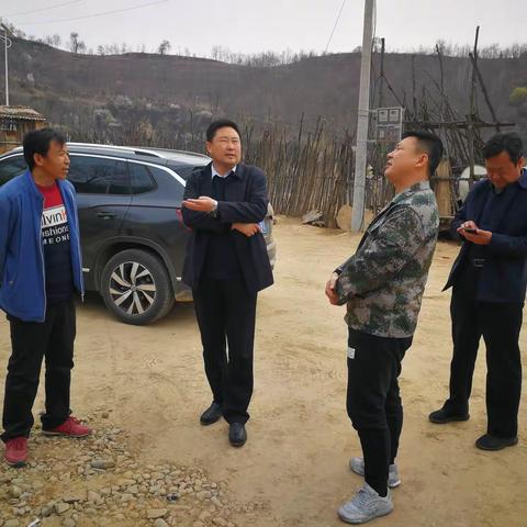 市农业农村局局长王湛鸿深入宝塔区调研指导农业农村工作