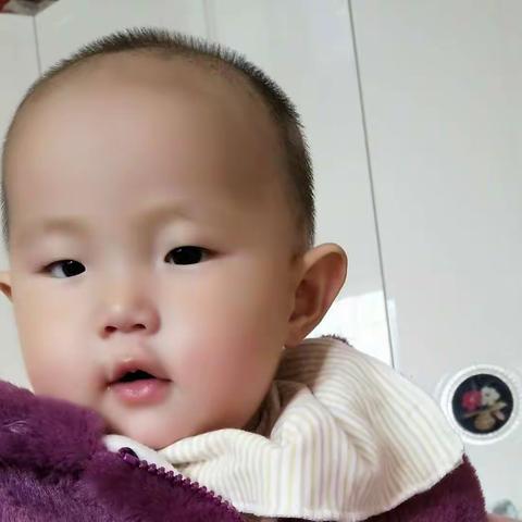 小baby照片