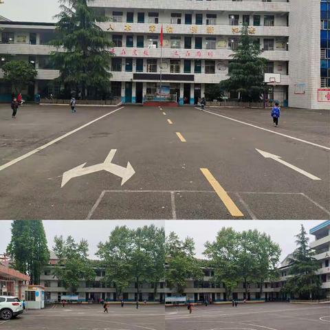 花开四月，不负春光