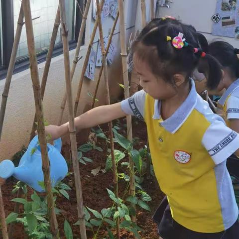 转载：如何构建具有“儿童的视角”的高质量幼儿园课程    文|南京师范大学教育科学学院 鲁小玉