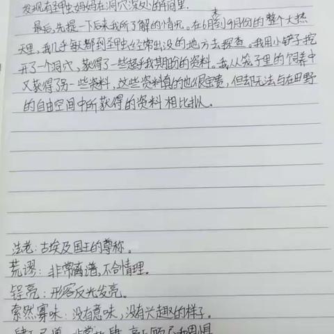 李航帜的美篇