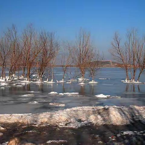 盼着下场雪