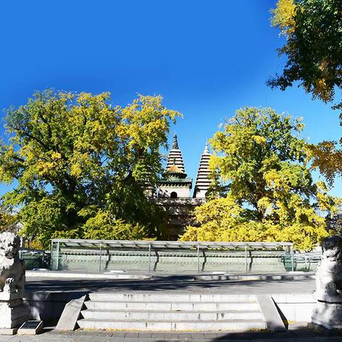 京城五塔寺寻秋