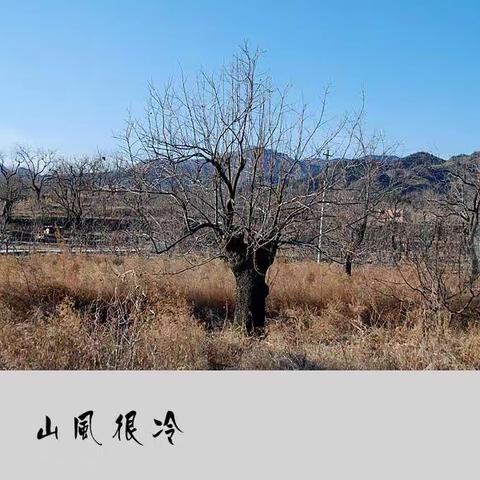 恩泽未浃于民，不忍重劳。