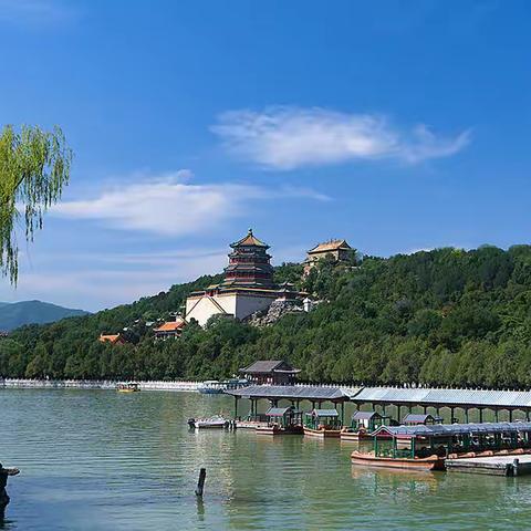 中秋赏桂在颐和