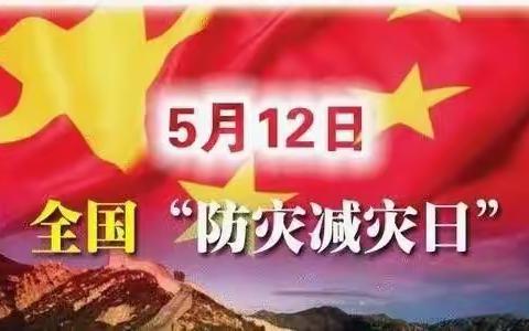 防灾减灾 安全你我——江城西队学校防灾减灾知识宣传