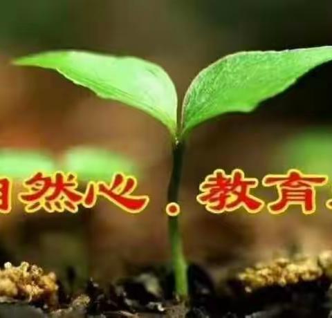 小精灵幼儿园朵朵一班3月份主题教学《水果店》