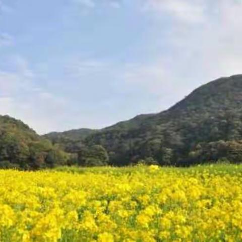 2017春节幸福之旅