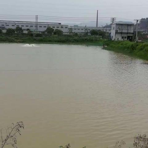 鱼塘生产情况简报（20180502）