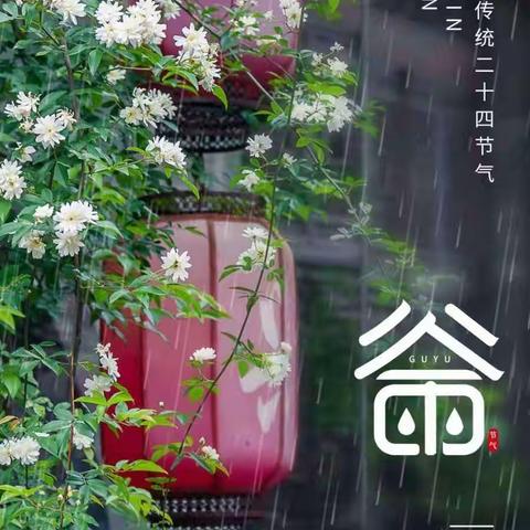 谷雨习俗