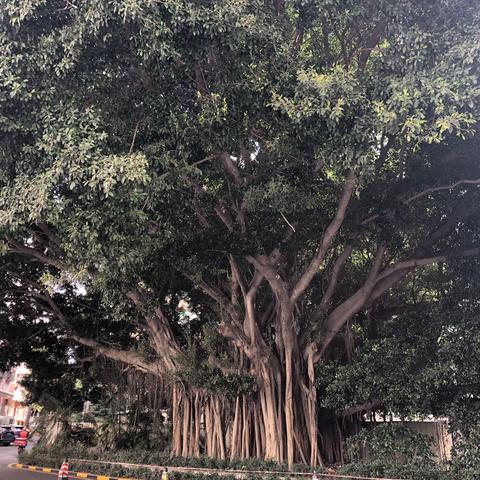 新时代基础教育新使命及学校管理（厦门学习第三天）