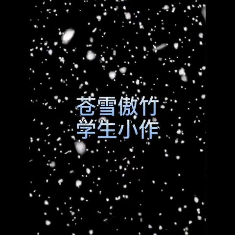 《苍雪傲竹》