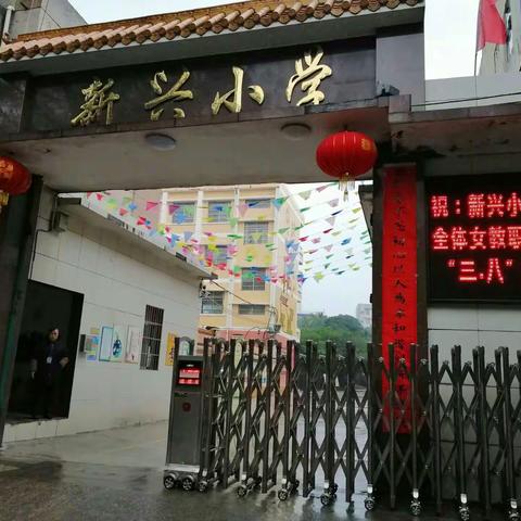 春风细雨拂人面，百花争艳香满园——记来宾市新兴小学国际妇女节庆祝活动