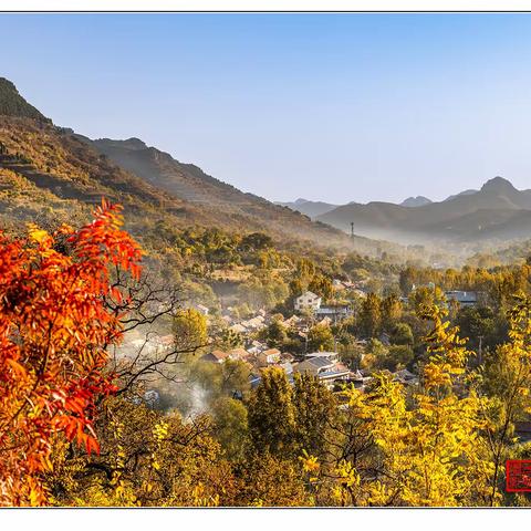 岁岁年年柿柿红，不见当年嬉戏童