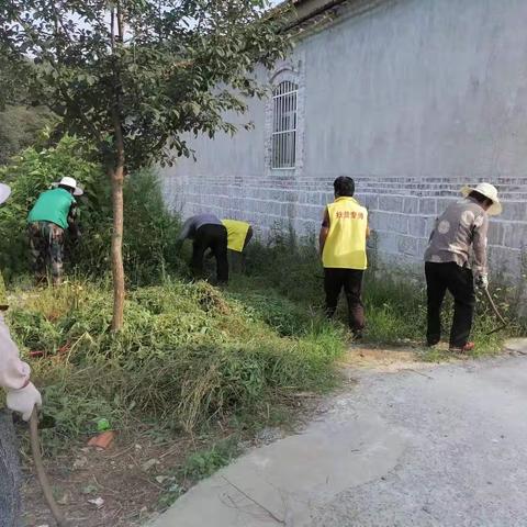 清理杂草，美化环境