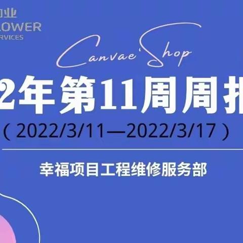 2021年第11周周报（2022年3月11日—2022年3月17日）