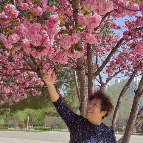 染一身岁月芳华，育棵棵桃李芬芳——记2023年二龙山乡中学欢送工会主席刘玉芹光荣退休