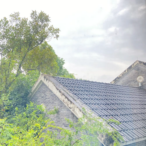 安仁：会呼吸的古镇