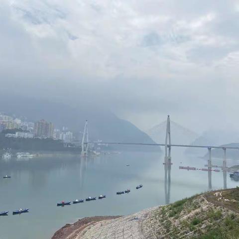 风花在沉淀中绽放