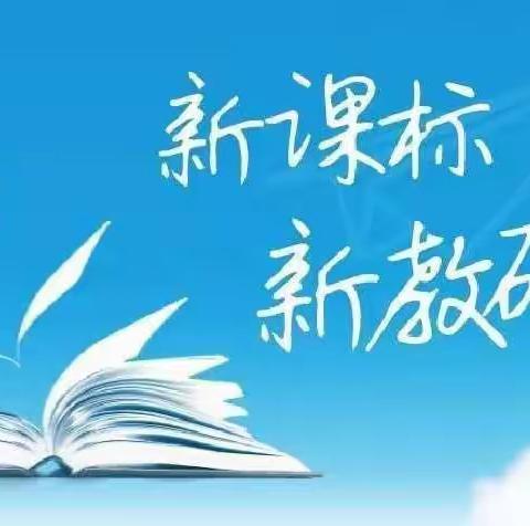 实践新课程，落实新课标，开拓新教学——张果屯镇初级中学教师参加校本教研工作推进会纪实