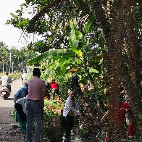 清港村“六水共治”的美篇