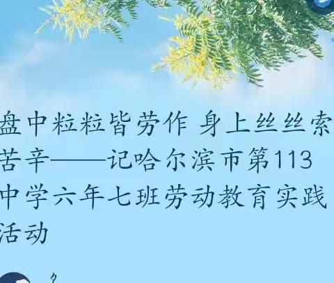 盘中粒粒皆劳作 身上丝丝索苦辛——记哈尔滨市第113中学六年七班劳动教育实践活动