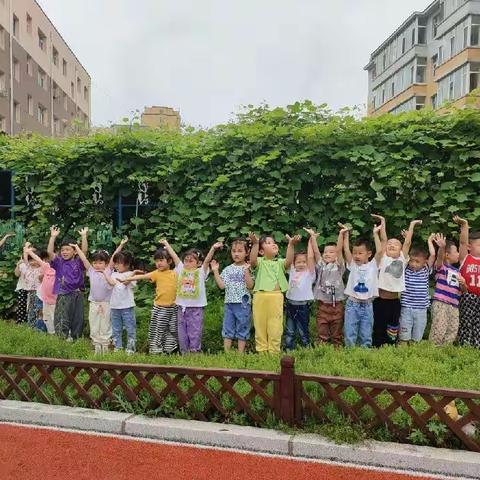 雨后初夏  看见自然——伊通满族自治县幼儿园小五班