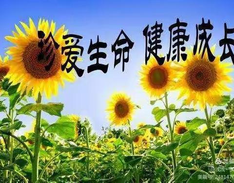 快乐暑假，安全相伴——店子集街道中心幼儿园暑假安全教育