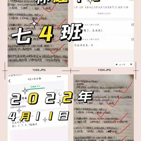 疫情无情人有情———海棠区生物教师线上教学支持抗疫