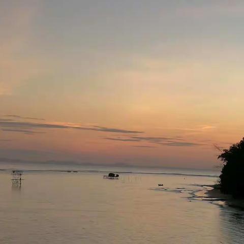 古达的原始生活(晨)